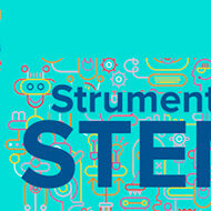 stem
